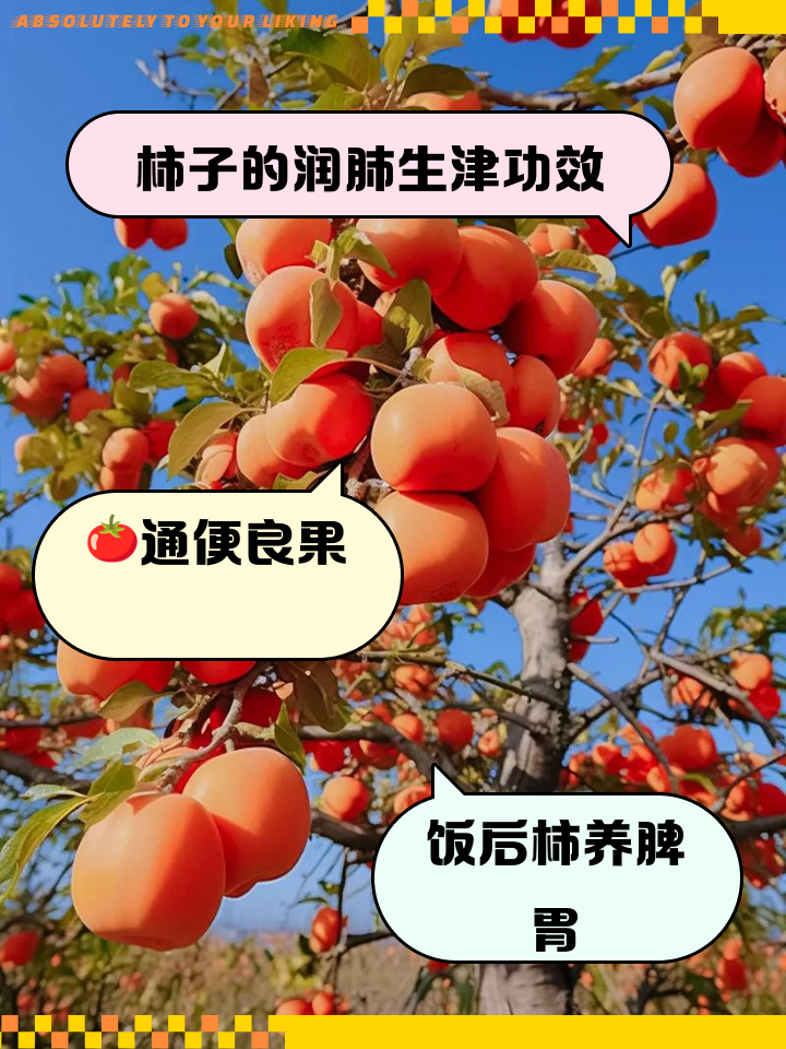 人吃柿子有什么好处
